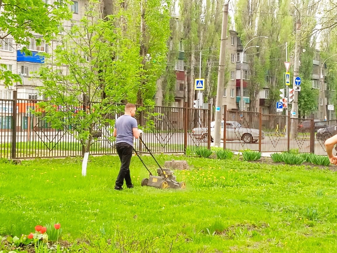 Изображения.
