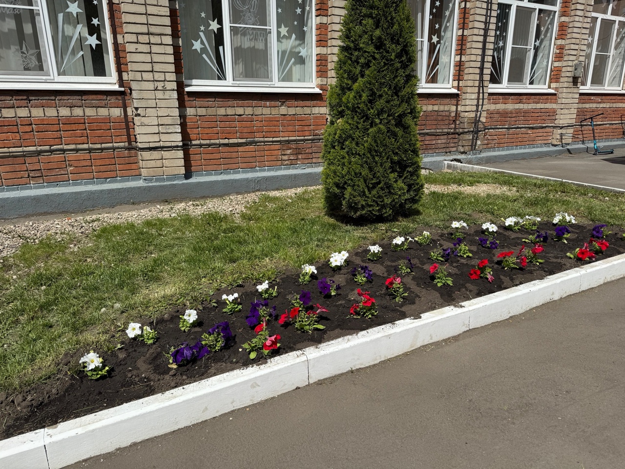 Изображения.