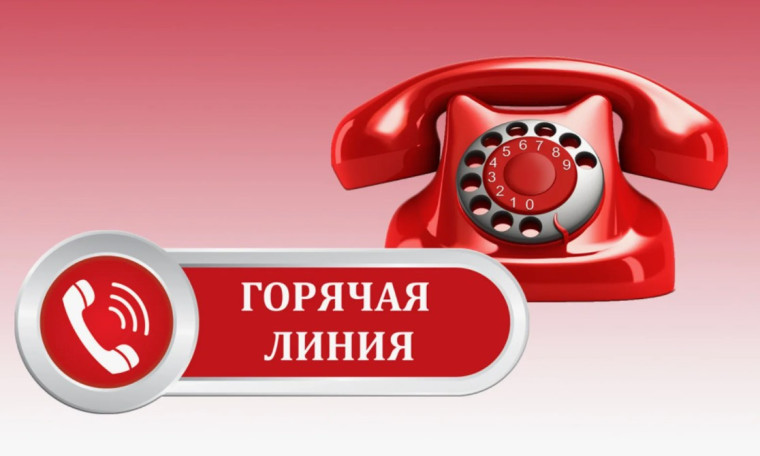 Горячая линия Минпросвещения.